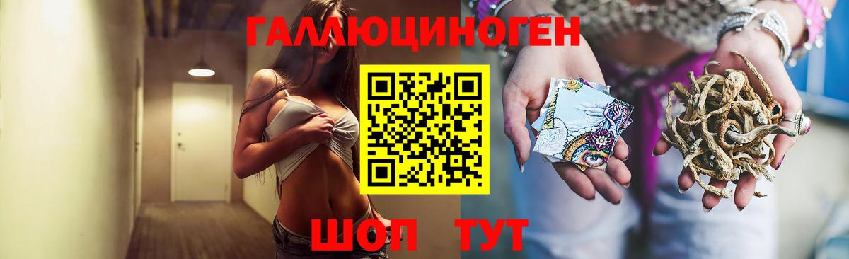 купить  сайты  Вход с VPN  Каменск-Шахтинский  Псилоцибиновые грибы MAGIC MUSHROOMS 
